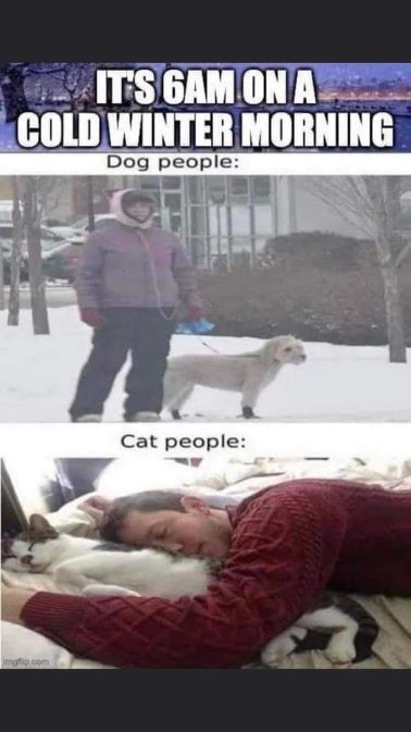 cat people dog people.jpg